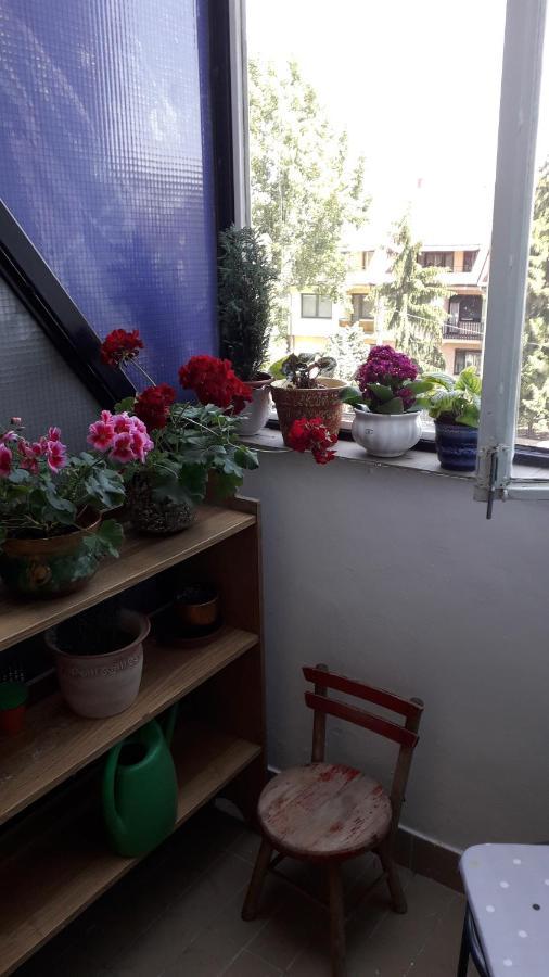 Annika Apartman Егер Екстериор снимка